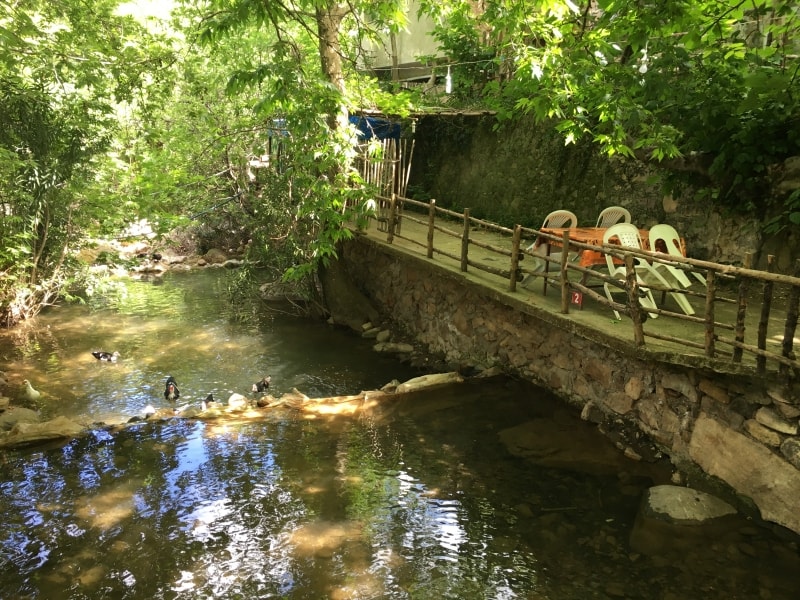 Gökkuşağı Alabalık Restaurant