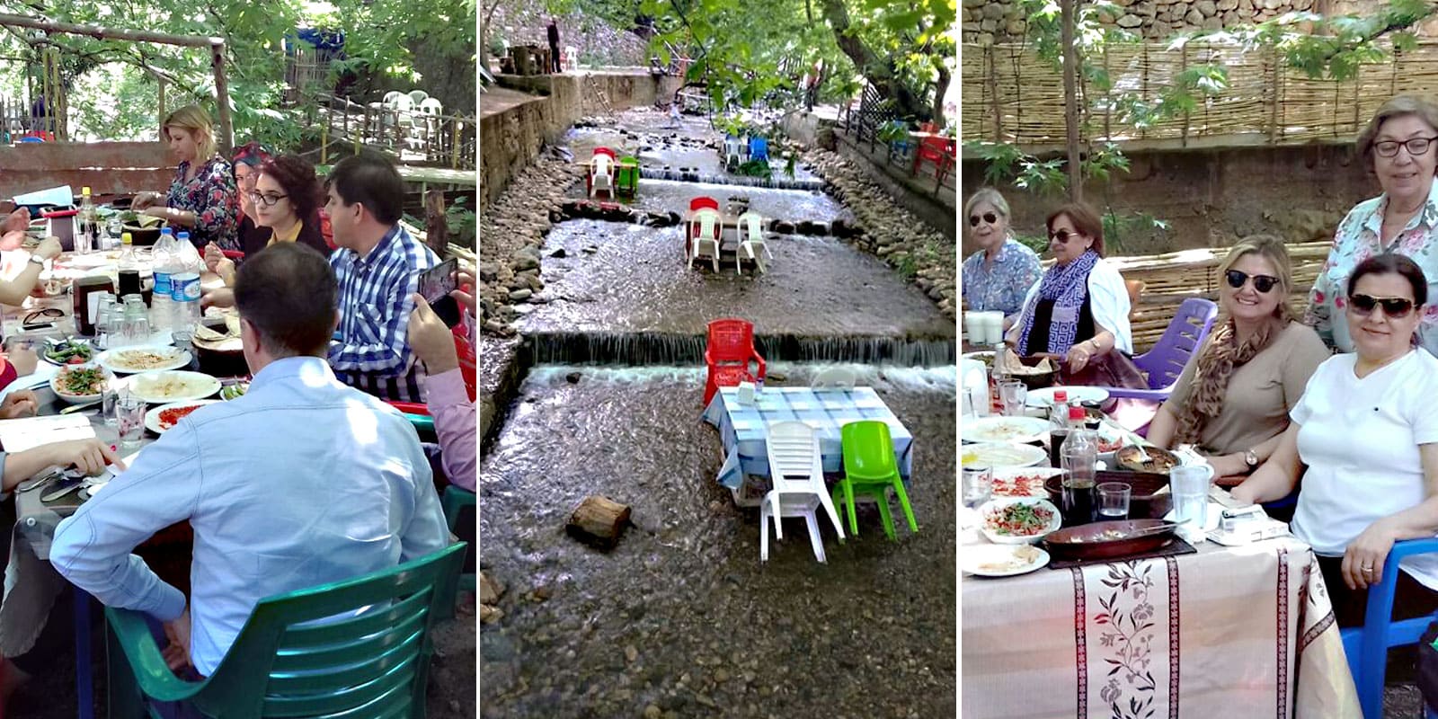 YEMYEŞİL DOĞADA ALABALIK ZİYAFETİ